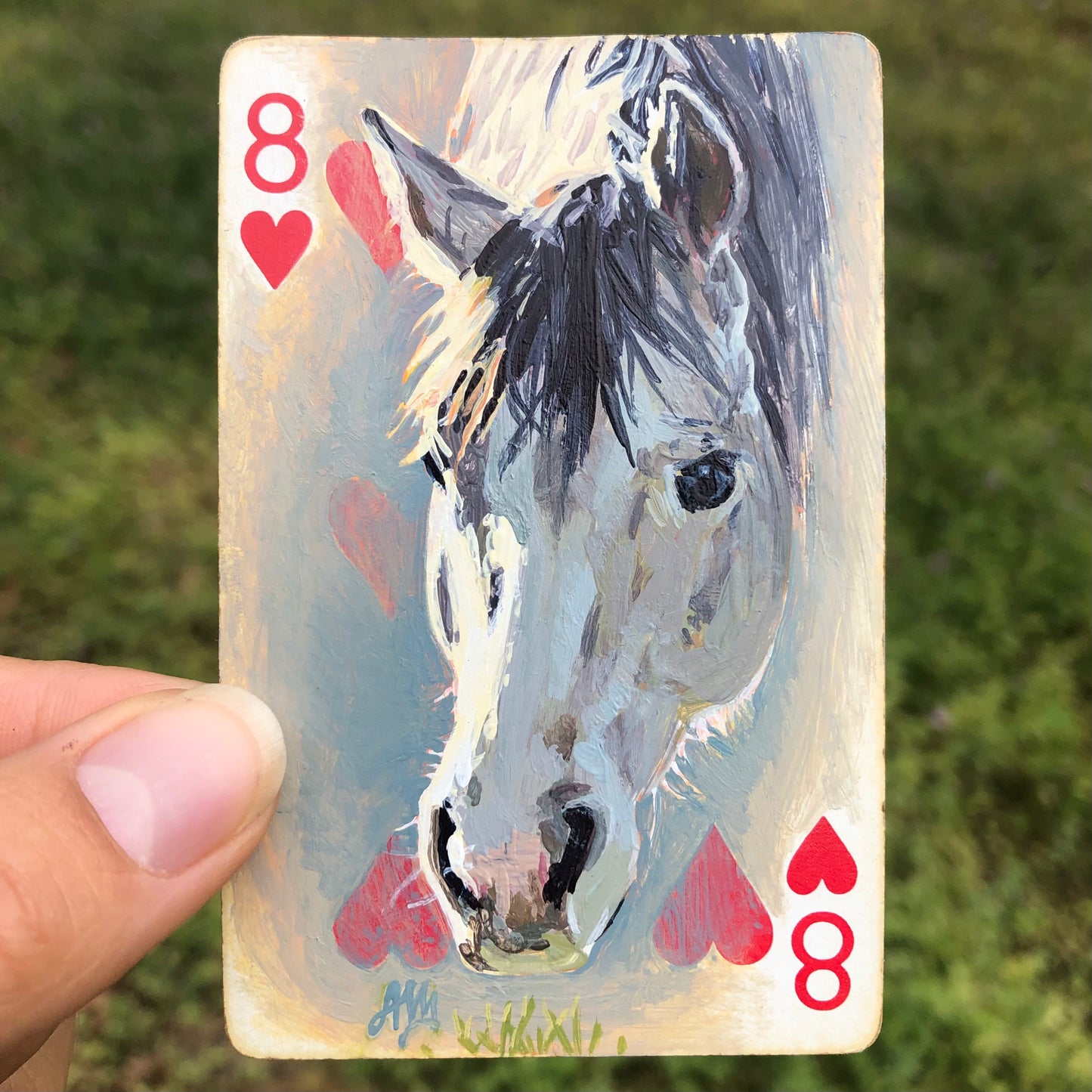Golden hour grey horse